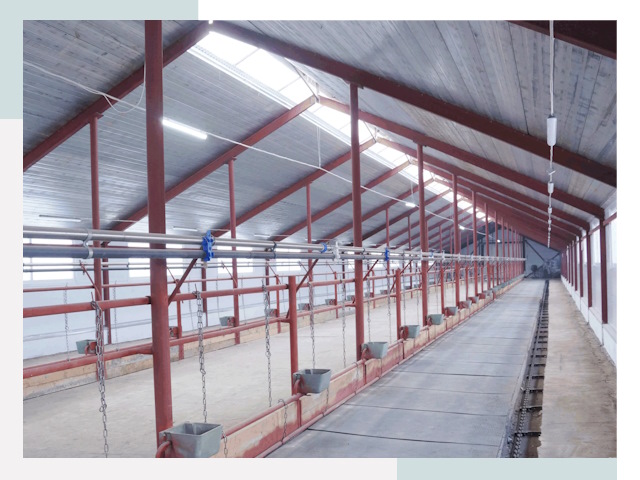 Строительство коровников в Медногорске от 610 руб.