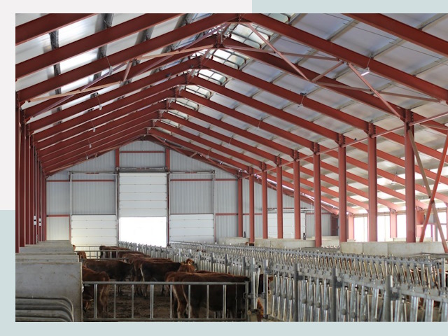 Строительство коровников в Медногорске