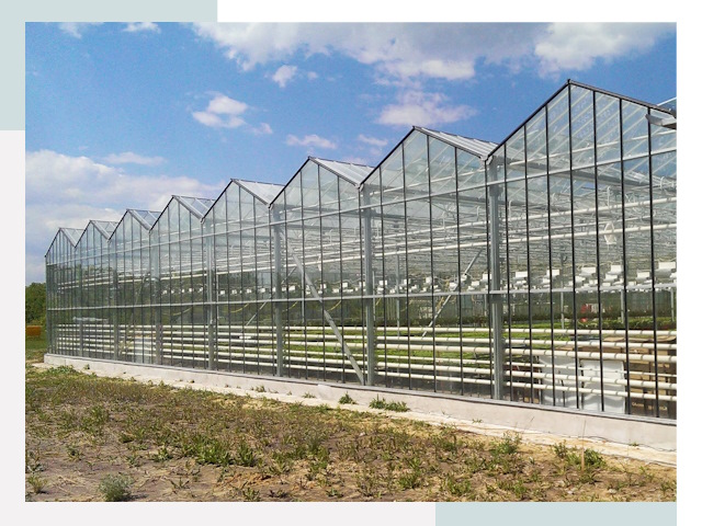 Строительство теплиц в Медногорск от 610 руб. за м²