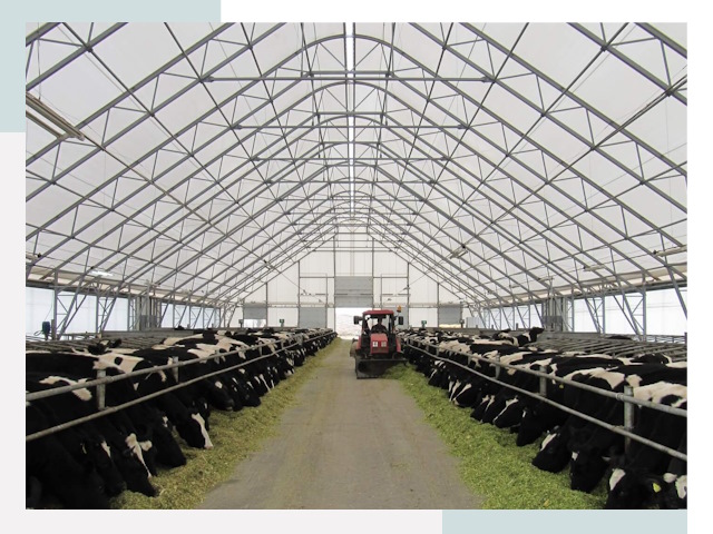 Тентовые коровники в Медногорске от 610 руб. - Надежно и доступно