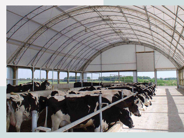 Тентовые коровники в Медногорске